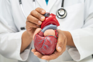 Ejection Fraction and the Aging Heart Image
